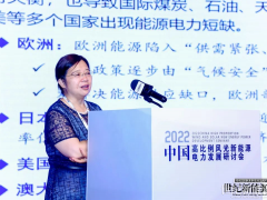 “新能源·新技術·新發展”第二屆中國高比例風光新能源電力發展研討會在京成功舉辦